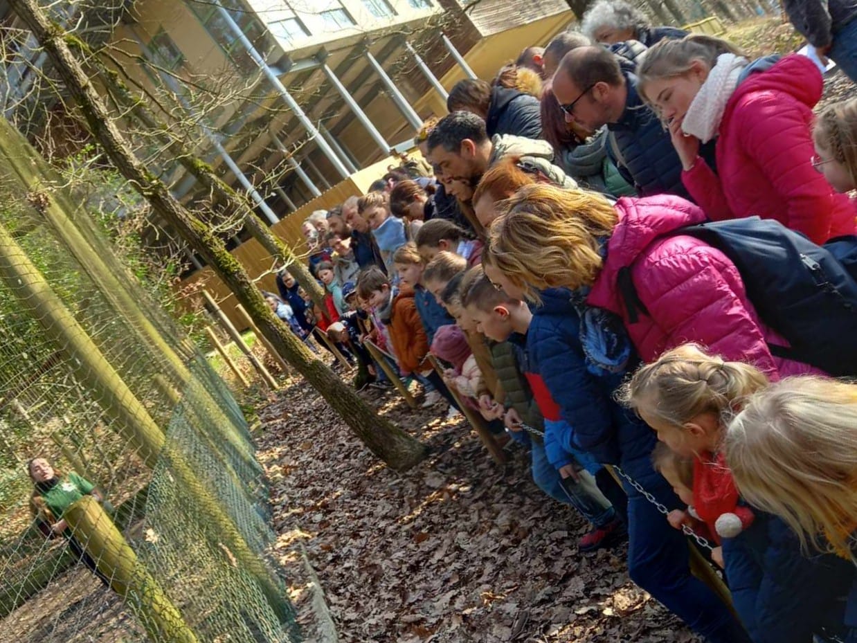 <div>Sortie en famille Parc Argonne Découverte (faune sauvage et domestique°</div>